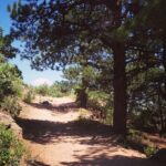 Hiking Adventure Through Colorado's Front Range Close to Denver - Experience Quality and Guides