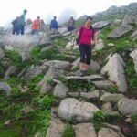 Hiking Day Tour to Triund from Dharamshala - The Value of This Tour