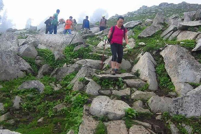 Hiking Day Tour to Triund from Dharamshala - The Value of This Tour