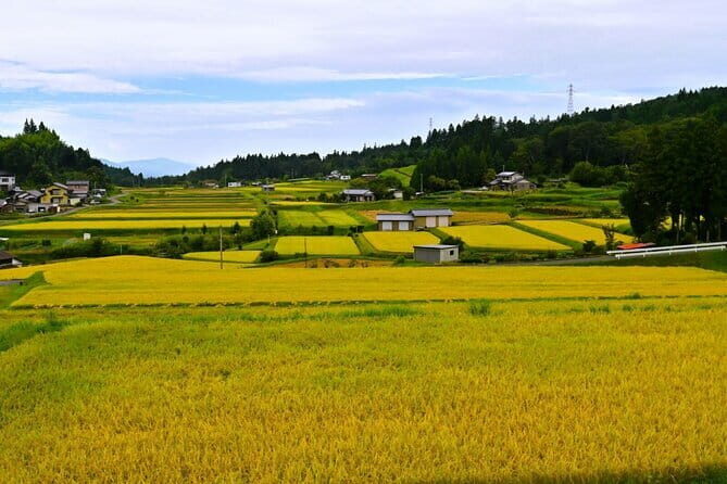 Hiking the Historic Nakasendo Trail- 1 Day Tour from Nagoya - Who Is This Tour Best For?