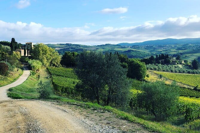 Hiking Tuscany & Chianti Wine - 3 Organic Wineries with lunch - Practical Tips for Participants