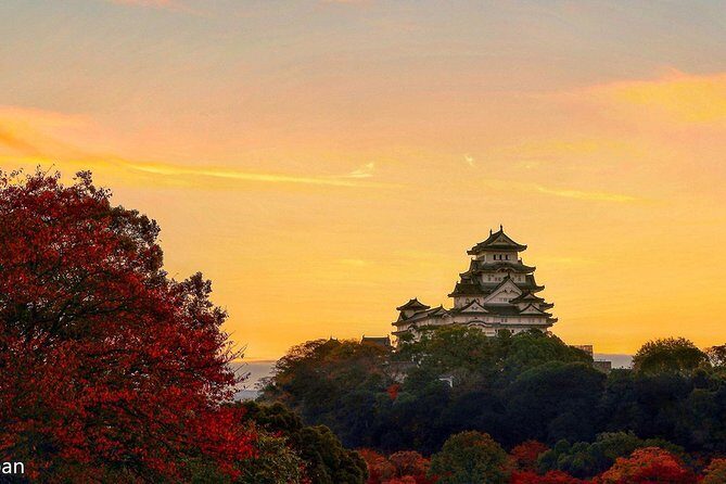 Himeji Full-Day Private Tour with Government-Licensed Guide - Exploring Himeji: A Deep Dive into the Tour Experience