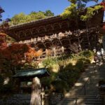 Himeji Half-Day Private Tour with Government-Licensed Guide - Why Choose This Tour?