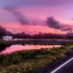 Hinterland Cycling Tour, Havelock - Why This Tour Works — The Authenticity and Experience