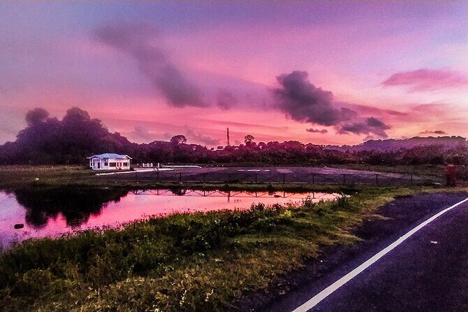 Hinterland Cycling Tour, Havelock - Why This Tour Works — The Authenticity and Experience