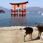 Hiroshima and Miyajima 1 Day Tour from Kyoto or Osaka - FAQ