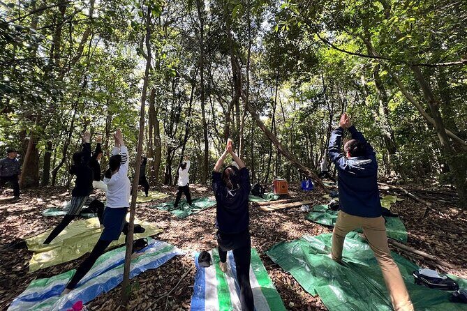 Hiroshima Local guided Hiking Tour&Open-air Tea Ceremony - What Do Reviewers Say?