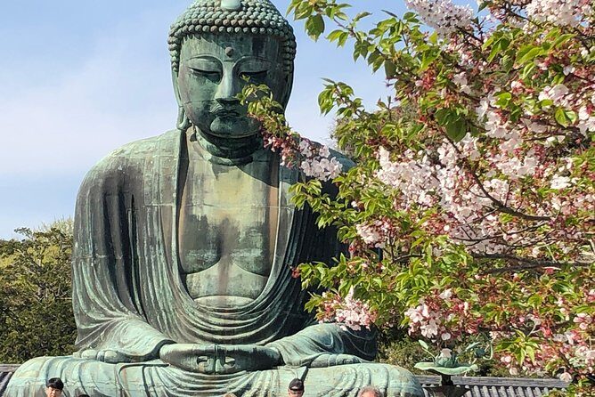 Historic Kamakura: Temples, Shrines and Street Food Private Walking Tour - Practical Aspects and Value