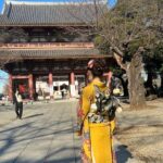 Historic Templetraditional Japanese garden Eating around at a shopping strip - Our Take: Is This Tour Worth It?