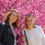 History and Culture Tour(Private Tour) - The Sum Up