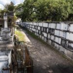 History of New Orleans Private Driving & Walking Tour - Who Will Love This Tour?