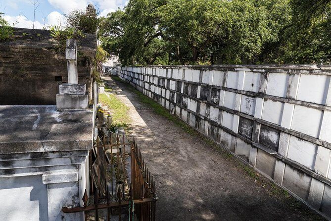 History of New Orleans Private Driving & Walking Tour - Who Will Love This Tour?