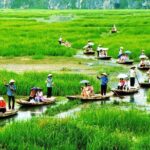 Hoa Lu - Tam Coc Deluxe Trip with Buffet Lunch - Why This Tour Offers Great Value