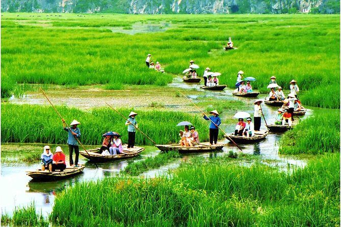 Hoa Lu - Tam Coc Deluxe Trip with Buffet Lunch - Why This Tour Offers Great Value