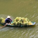 Hoa Lu Tam Coc Full Day Trip by Limousine Transfer Deluxe Group - Pricing and Value