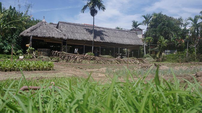 Hoi An cooking class - Practical Details & Value Analysis