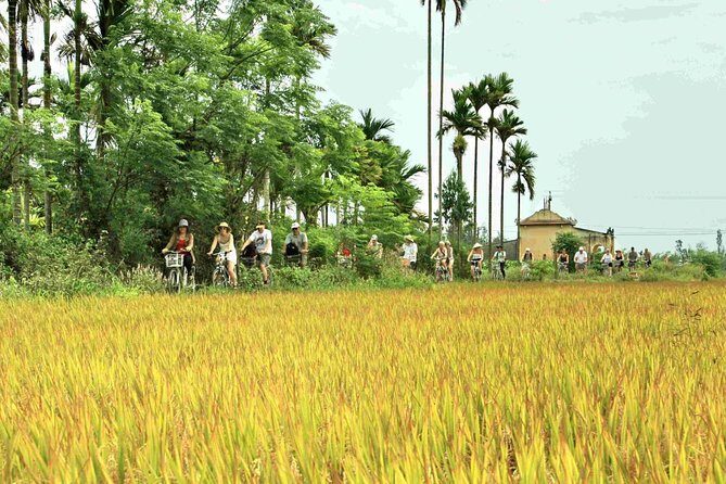 Hoi An Countryside bike tour to Kim Bong village - Who Will Love This Tour?