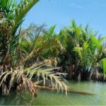 Hoi An Farming And Fishing Life - Private Tour - Who Is This Tour Best For?