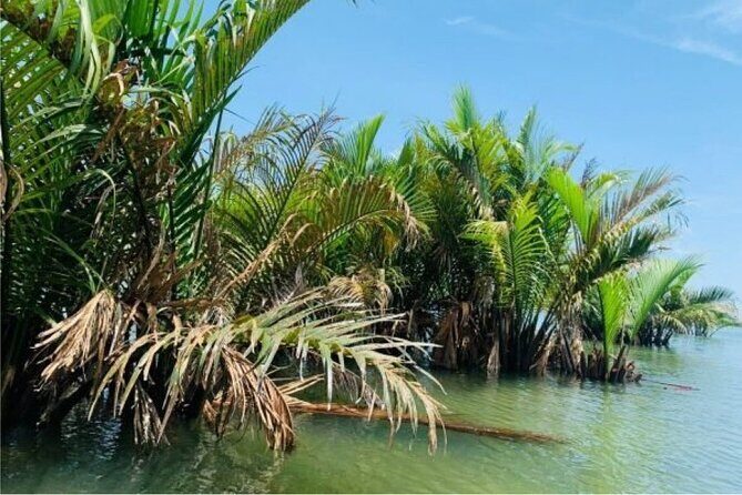 Hoi An Farming And Fishing Life - Private Tour - Who Is This Tour Best For?