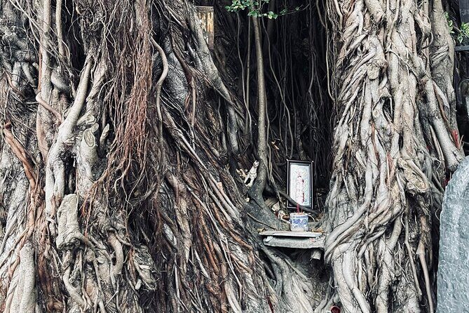 Hoi An Ghosts, Death, Mystery Unveiled - FAQ