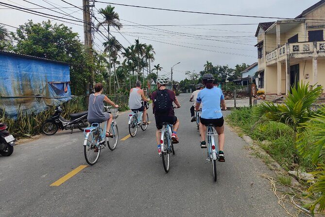 Hoi An Half-Day Bicycle Tour: Visit Herb Village, Row Basket Boat - Why This Tour Offers Great Value