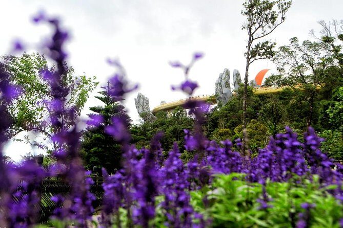 Hoi An to Ba Na Hills Private Car Transfer - An In-Depth Review of the Transfer Service