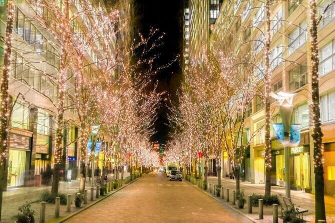 Holiday Lights Walk Tour Hibiya Midtown Tokyo Station Marunouchi - The Value of This Experience