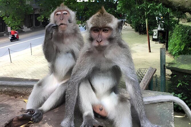 Holy water Temple Self-Purification & highlight Ubud Tour - The Sum Up