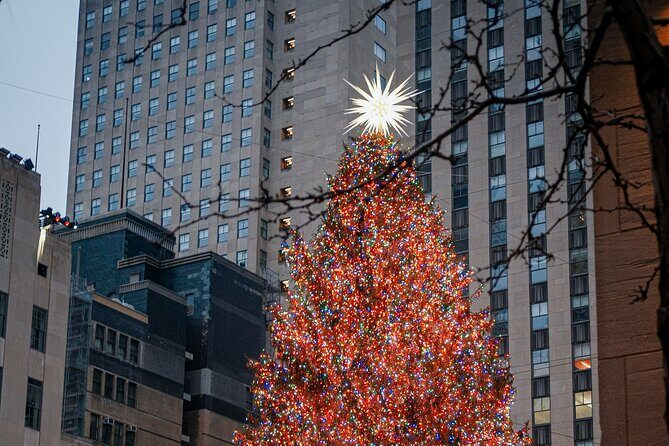 Home Alone Lost In New York Filming Locations with Private Guide - Who Should Book This Tour?