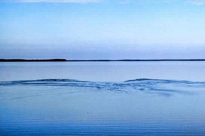 Homosassa Inshore Fishing Charters - Why This Tour Is a Great Choice