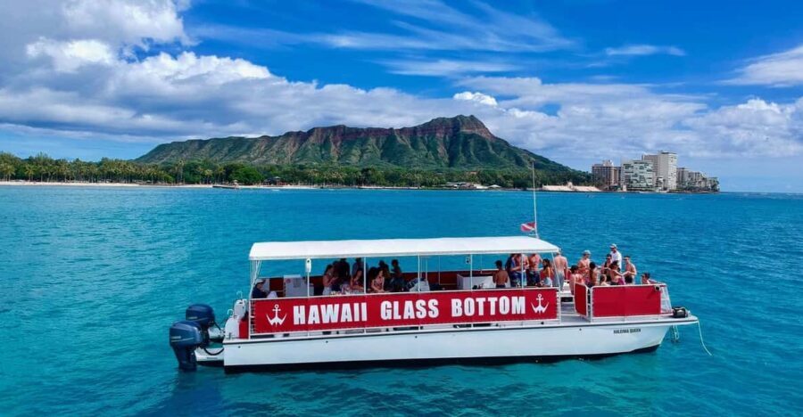 Honolulu: Glass Bottom Boat Tour along Oahu's South Shore - What to Expect from Oahu’s Glass Bottom Boat Tour