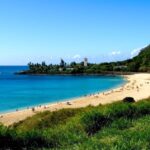 Honolulu: Oahu Island Highlights Tour with Multiple Stops - An In-Depth Look at the Honolulu: Oahu Island Highlights Tour