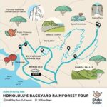 Honolulu Rainforest Self-Guided Audio Tour - Who is This Tour Best For?