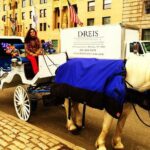 Horse Carriage Tour in New York City's Central Park Small Loop - FAQ