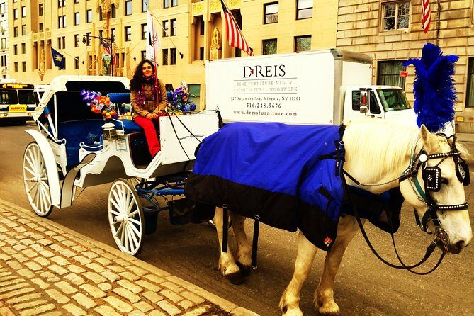 Horse Carriage Tour in New York City's Central Park Small Loop - FAQ