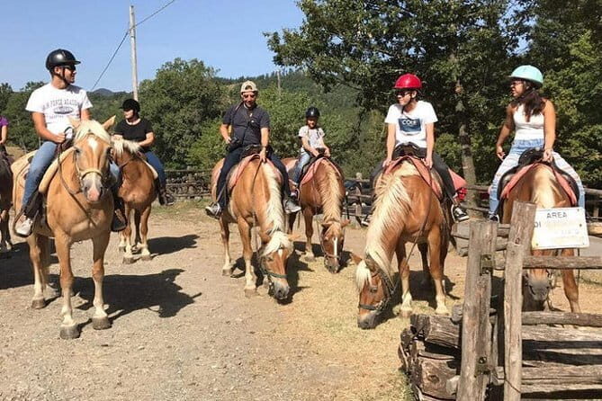 Horse ride in the Mugello (transfer from / to Florence) and Tuscan aperitif - Final Thoughts