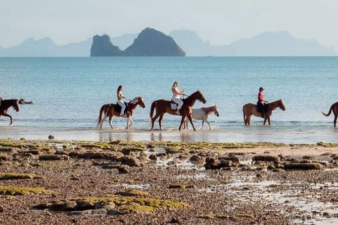 Horse Riding and Beach Trails on Koh Samui - Who Would Enjoy This Experience?