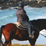 Horseback Ride & Alcatraz Prison Tickets - Potential Drawbacks