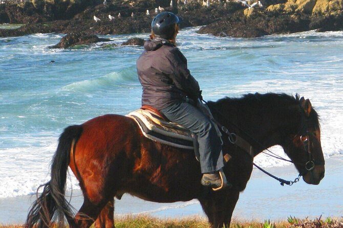 Horseback Ride & Alcatraz Prison Tickets - Potential Drawbacks