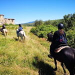 Horseback ride and Poolside Day chillout with Tuscan Lunch - What Makes This Tour Stand Out?