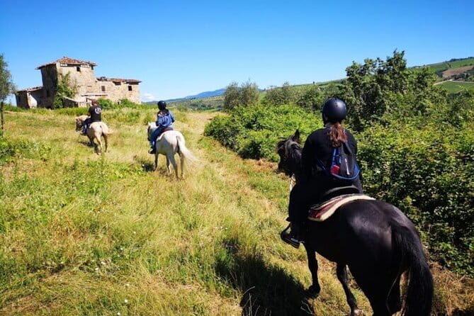 Horseback ride and Poolside Day chillout with Tuscan Lunch - What Makes This Tour Stand Out?