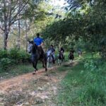 Horseback Riding 1 hour trail - Final Thoughts: Who Will Love This Tour?