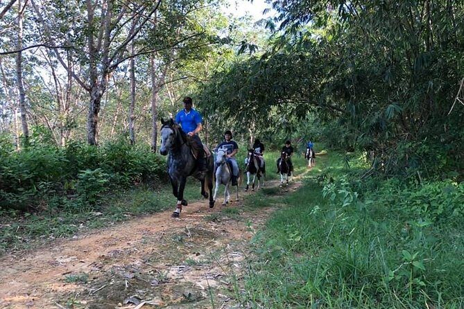 Horseback Riding 1 hour trail - Final Thoughts: Who Will Love This Tour?
