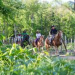 Horseback-Riding in a Country Side in Sapporo - Private Transfer is Included - Details That Make This Tour Special