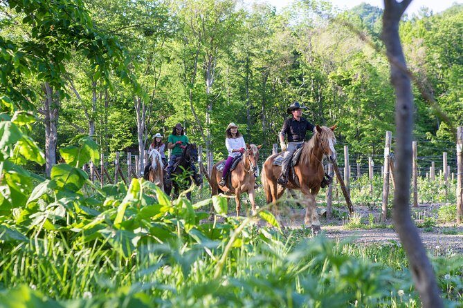 Horseback-Riding in a Country Side in Sapporo - Private Transfer is Included - Details That Make This Tour Special