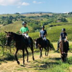 Horseback Riding with Wine Tour from Florence - Authentic Experiences and What Travelers Have Raved About