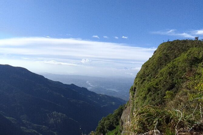 Horton Plains-World's End Tour and Tea Factory Tour From Nuwaraeliya - A Deep Dive into the Experience