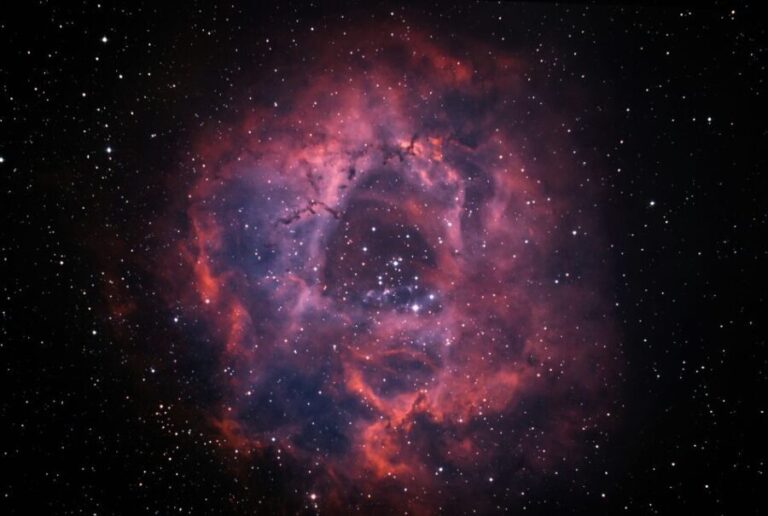 Houston Museum of Natural Sciences: Planetarium Ticket - A Detailed Look at the Experience
