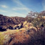 Huhhot 4D3N Inner Mongolia Grassland and desert nature tours - Exploring Inner Mongolia: An In-Depth Look