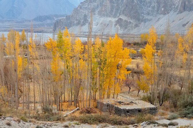 Hunza Autumn Tour - Day 3: Phandar Valley and Khalti Lake